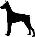  Hund Artnr 3114 