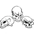  Skulls 01 